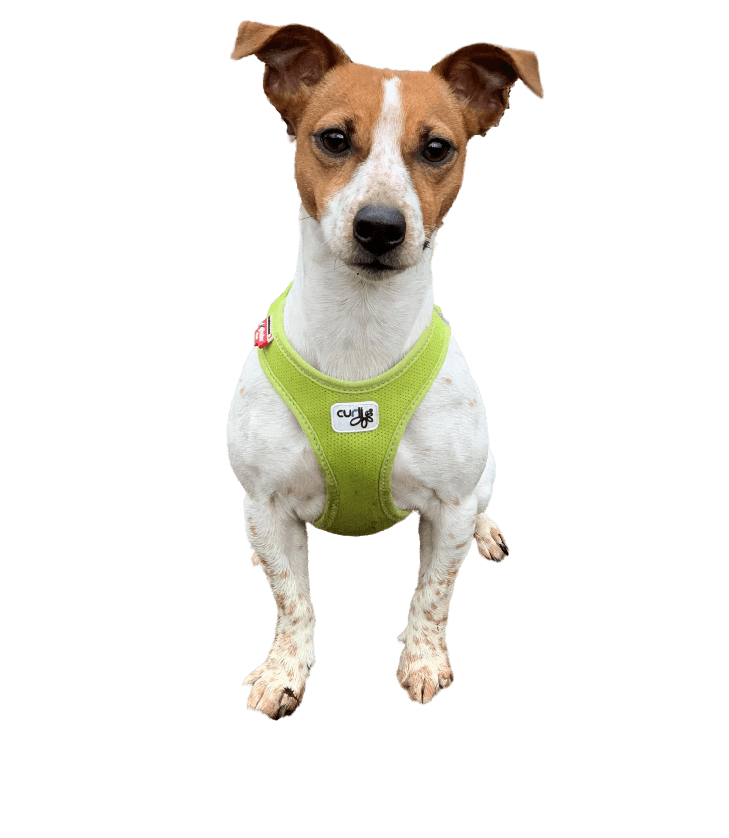 Nelly Herbertz - Feelgood CEO